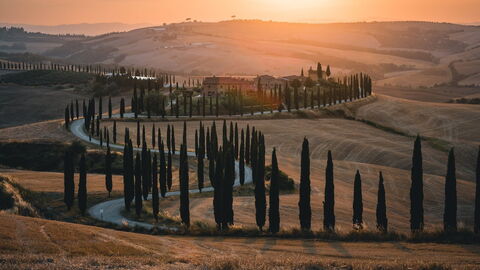 Weg met cipressen in Toscane