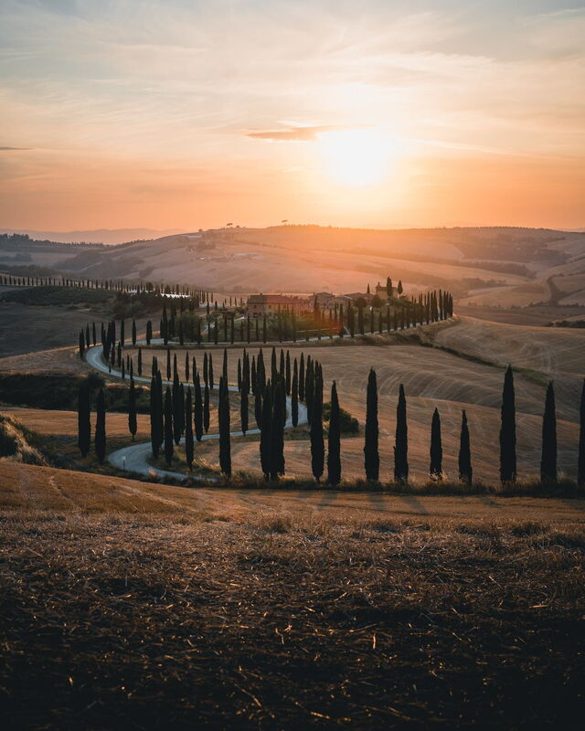 Weg met cipressen in Toscane