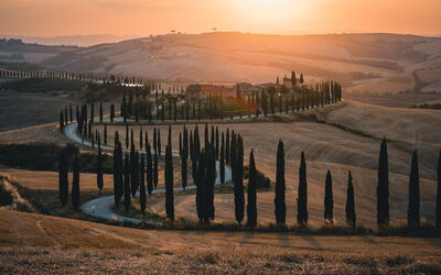 Weg met cipressen in Toscane