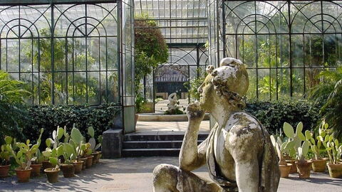 Orto Botanico di Palermo, beeld