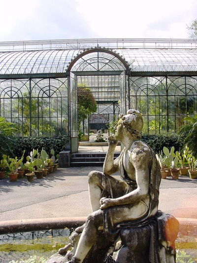 Orto Botanico di Palermo, beeld