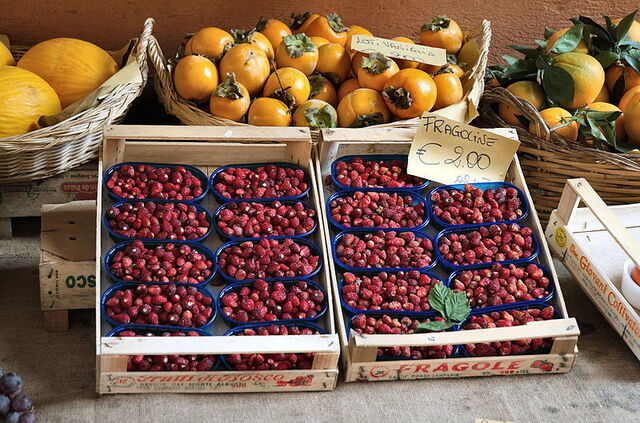 kleine wilde aardbeien van nemi