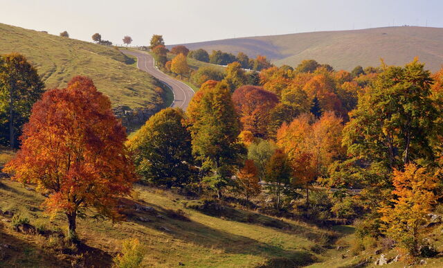Toscaanse landschap tijdens de herfst