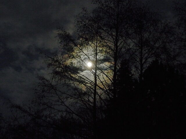 volle maan