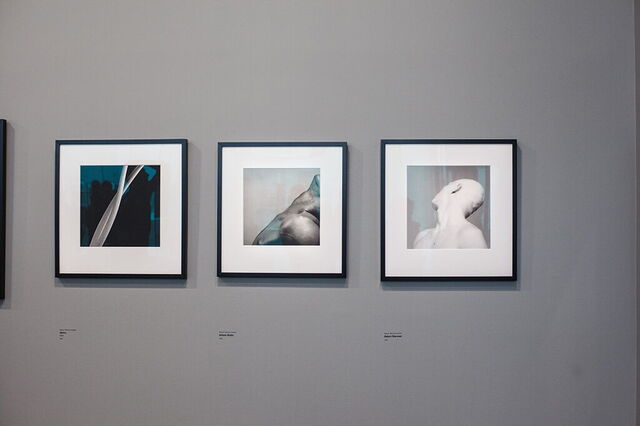 Werken van Mapplethorpe