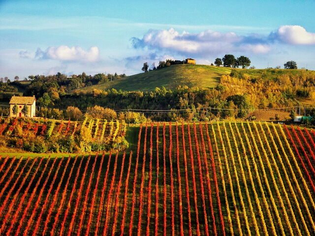 Landschap van Vignola