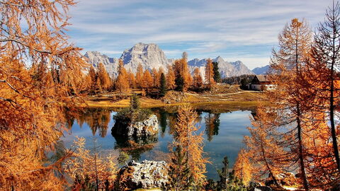 Alpen in de herfst