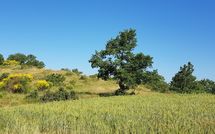 Foto ingevoerd door een huurder van Casa Caldesi