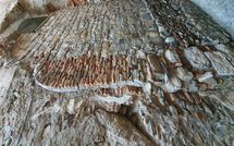 Foto ingevoerd door een huurder van I Corsari del Corallo - Cervo