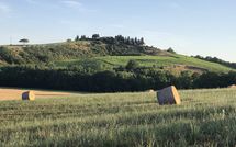 Foto ingevoerd door een huurder van Cerretalta