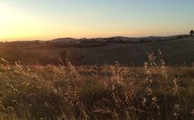 Foto ingevoerd door een huurder van Casa Cipressi