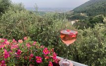 Foto ingevoerd door een huurder van Villa Mastiano