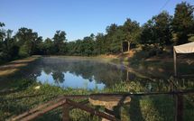 Foto ingevoerd door een huurder van Fucecchio 900