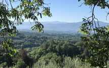 Foto ingevoerd door een huurder van Villa Flora