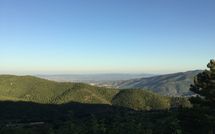 Foto ingevoerd door een huurder van Casetta i Ciliegi