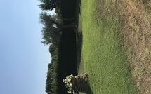 Foto ingevoerd door een huurder van Poderino