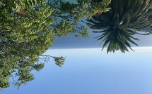 Foto ingevoerd door een huurder van Villa Ginestra