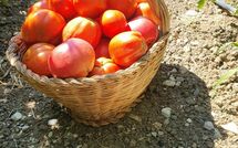 Foto ingevoerd door een huurder van Torre del Cielo