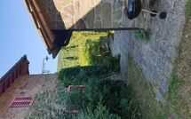 Foto ingevoerd door een huurder van Il Poderino