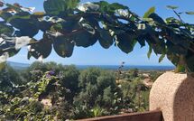 Foto ingevoerd door een huurder van Bouganville