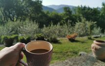 Foto ingevoerd door een huurder van Vignoli