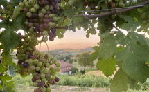 Foto ingevoerd door een huurder van Casa della Peschiera