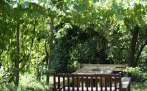 Foto ingevoerd door een huurder van La Cenerara