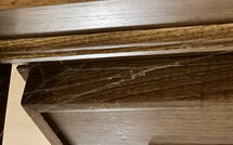 Foto ingevoerd door een huurder van La Cipressa