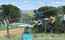 Foto ingevoerd door een huurder van Poggio Falcone