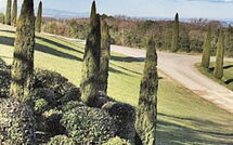 Foto ingevoerd door een huurder van La Rimessa