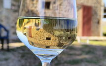 Foto ingevoerd door een huurder van Il Casale