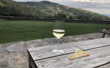 Foto ingevoerd door een huurder van Tenuta Pomona