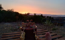 Foto ingevoerd door een huurder van Appartamento Comino Sole Sea View