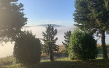 Foto ingevoerd door een huurder van Lajatico 602