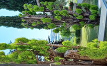 Foto ingevoerd door een huurder van Poggio Falcone