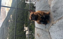 Foto ingevoerd door een huurder van Belvedere, House with Private Pool and Garden, Rec