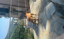 Foto ingevoerd door een huurder van Belvedere, House with Private Pool and Garden, Rec