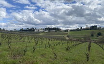 Foto ingevoerd door een huurder van Dependance di Villa Magna