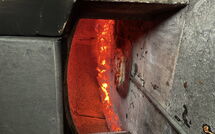 Foto ingevoerd door een huurder van Giorgio Winery