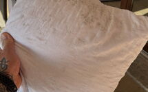 Foto ingevoerd door een huurder van Ville San Pietro (Rei352)