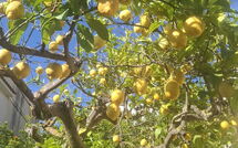 Foto ingevoerd door een huurder van Vista Mare Noto