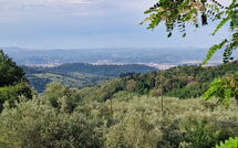 Foto ingevoerd door een huurder van Florence 646