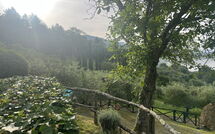 Foto ingevoerd door een huurder van Villa Flora