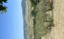 Foto ingevoerd door een huurder van Casolare Ser Chelino