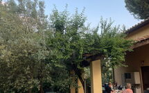 Foto ingevoerd door een huurder van Poggio Cuccule