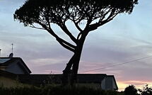 Foto ingevoerd door een huurder van Antonia