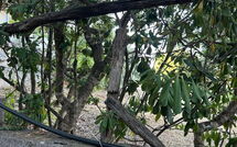 Foto ingevoerd door een huurder van Von Salis