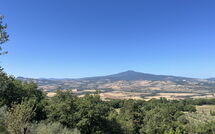 Foto ingevoerd door een huurder van Villa Il Troscione