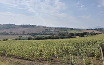 Foto ingevoerd door een huurder van Fattoria le Chianacce