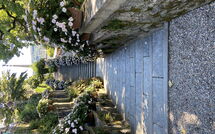 Foto ingevoerd door een huurder van Gianni